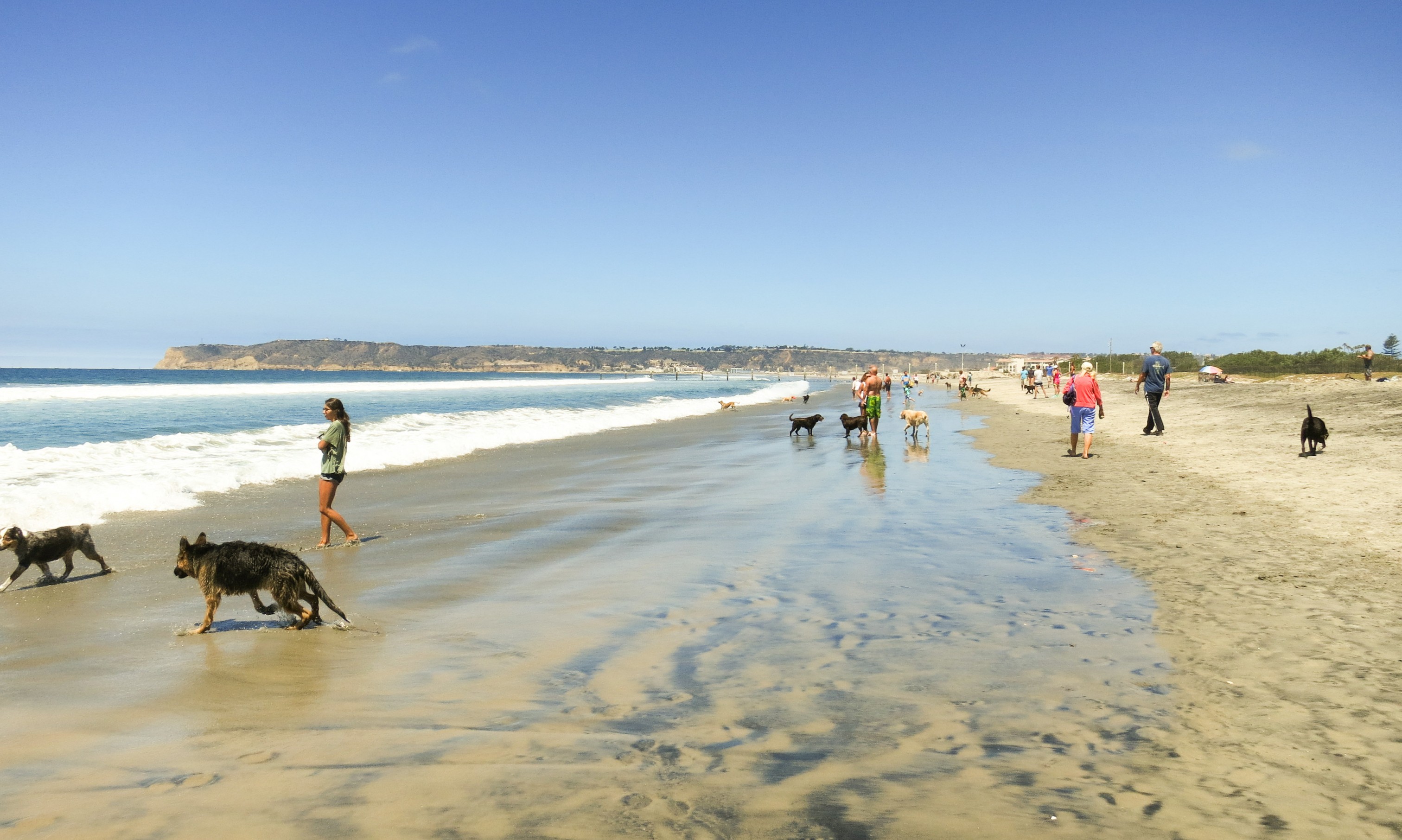 Coronado Dog Beach dog park