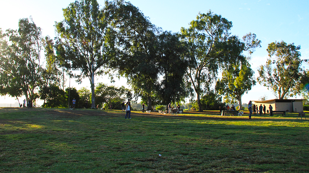 Grape Street Dog Park dog park