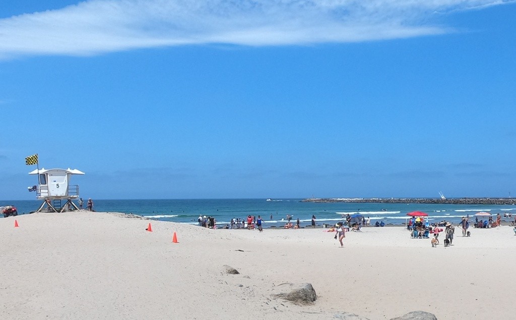 Ocean Beach Dog Beach dog park